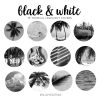 bw2 — Tropical B&W Highlight Covers
