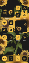 44497D80 E078 43F8 A404 B4CFEF86721A — App Icons Sunflower
