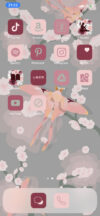 IMG 1177 — App Icons Rose Themed