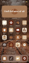 IMG 1368 — App Icons Fall Aesthetic